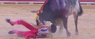 Copertina di Spagna, torero ventinovenne ucciso in diretta televisiva. Fatale un’incornata che gli ha perforato i polmoni