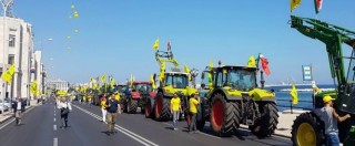Copertina di Guerra del grano, la protesta dei mille trattori per difendere il frumento made in Italy: “Speculazione da 700 milioni”