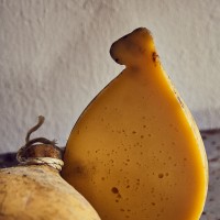 Qual è quindi questo latte, e perché lo chiamate così? Anticamente si utilizzava solo latte di mucca podolica per realizzare il <a href=