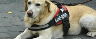 Copertina di Disabili, albergo vietato a una cieca accompagnata dal cane guida. Il motivo: “Garantiamo ambiente senza animali”