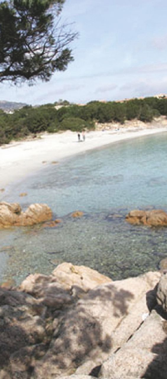 Copertina di La Sardegna, l’isola sempre più isolata dal resto del mondo