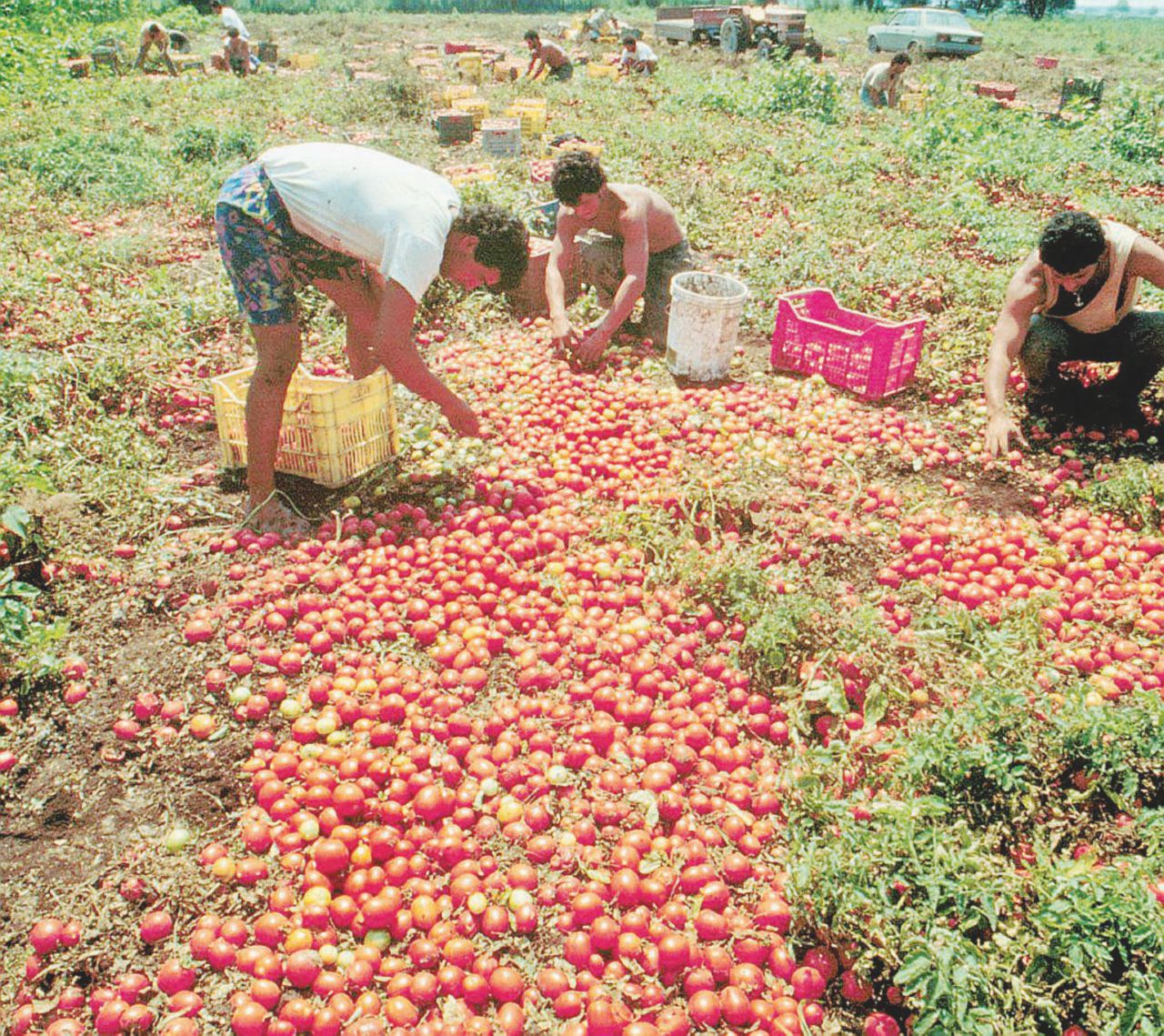 Caporalato, per i braccianti un’altra estate senza regole