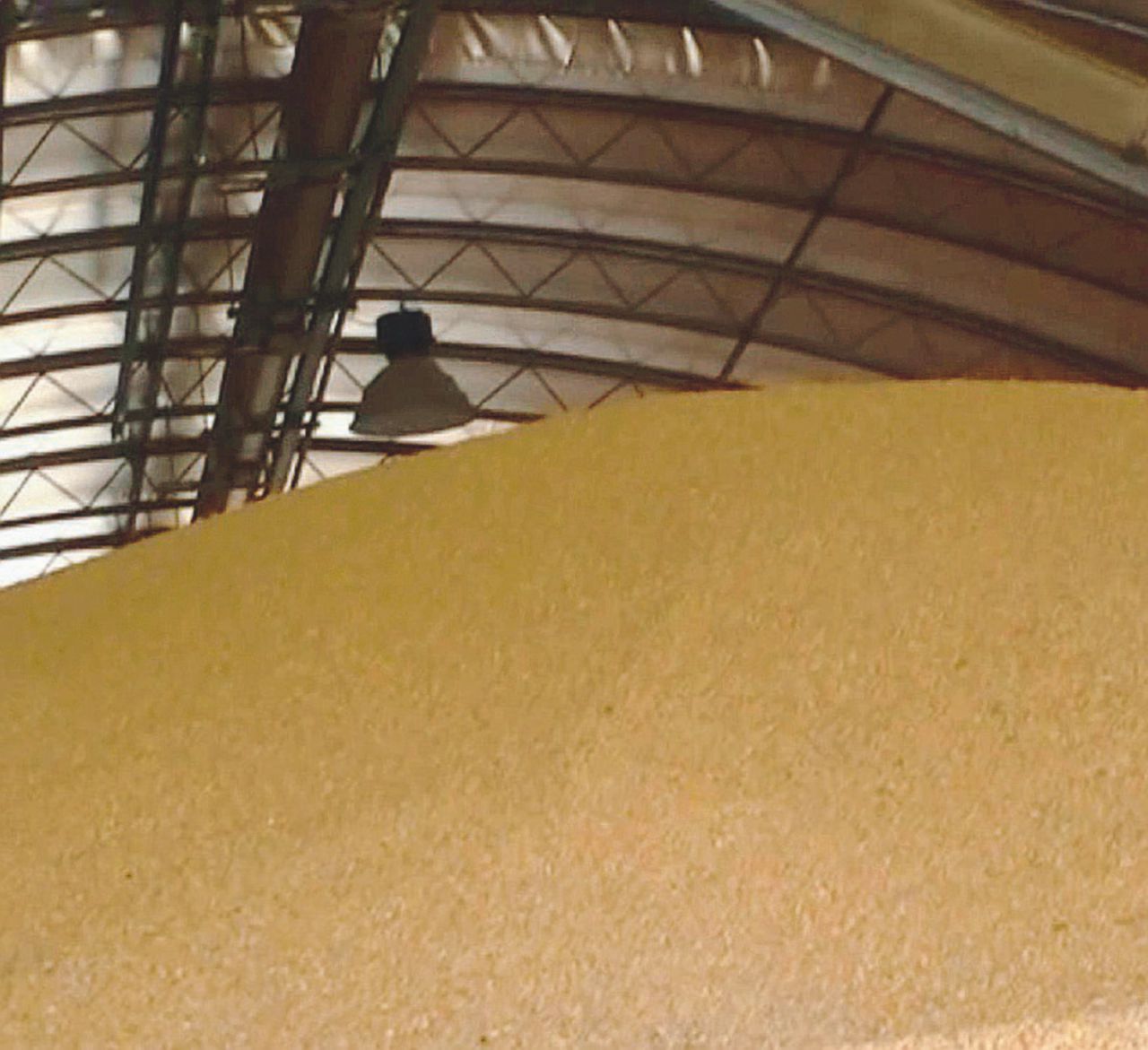 Copertina di “Made in Italy”, ma il grano viene da Ucraina e Messico