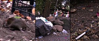 Copertina di Roma, discarica al Gianicolo: topi, siringhe e rifiuti speciali dietro la fontana storica