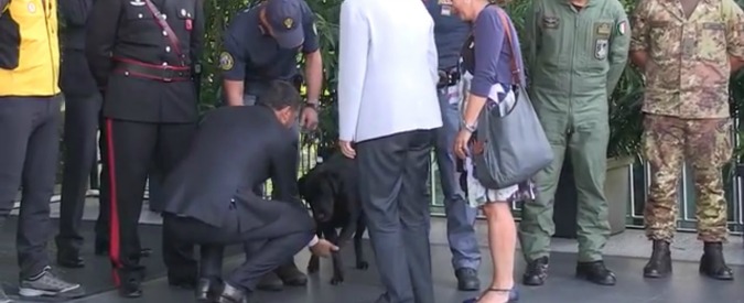 Copertina di Terremoto, Renzi e Merkel incontrano i soccorritori e stringono la zampa al cane Leo