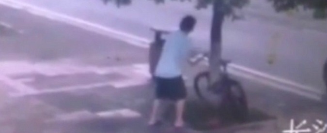 Copertina di Cina, ladro o boscaiolo? La bicicletta è legata al tronco dell’albero: il furto è estremo