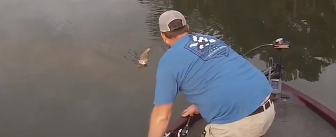 Copertina di Gatti stoici: attraversano il fiume e il pescatore li accoglie sulla barca