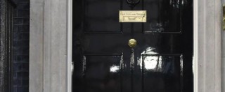 Copertina di Downing Street, il gatto Larry ha un nemico: liti con il collega Palmerston. Chiamato un esperto
