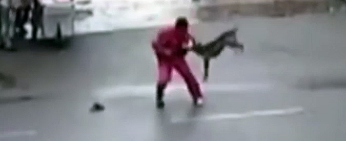 Copertina di Cina, pitbull inferocito azzanna più di 20 persone: la polizia lo abbatte