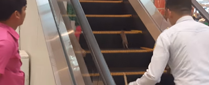Copertina di Filippine, il ratto imbocca la scala mobile al contrario. Il tentativo di acciuffarlo è una comica