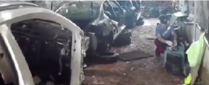 Copertina di Bisceglie, carabinieri scoprono auto rubate nascoste nelle serre dei contadini