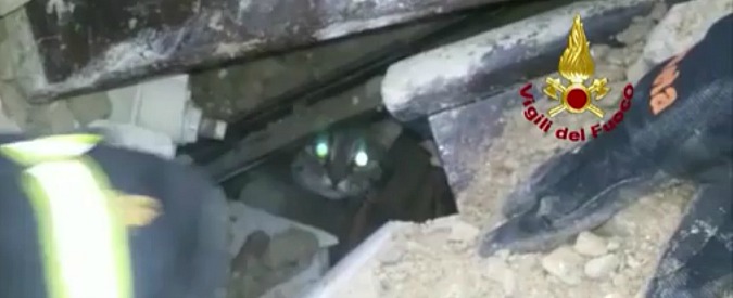 Copertina di Terremoto, dalle macerie spunta il gatto Pietro. I pompieri lo trovano dopo 16 giorni