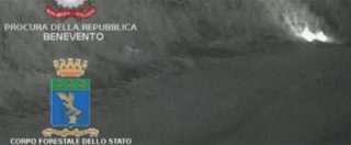 Copertina di Benevento, Forestale arresta piromane in area protetta. Inchiodato grazie alle telecamere di sorveglianza