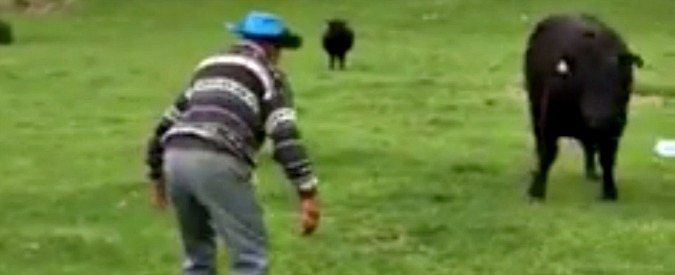 Copertina di Sfida un toro a ottant’anni. L’azzardo dell’anziano per difendere la sua auto