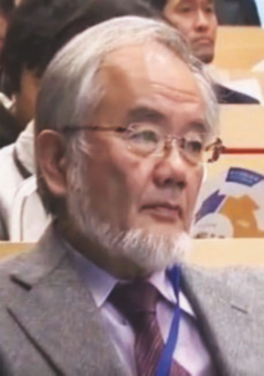 Il giapponese Oshumi vince Nobel per la Medicina