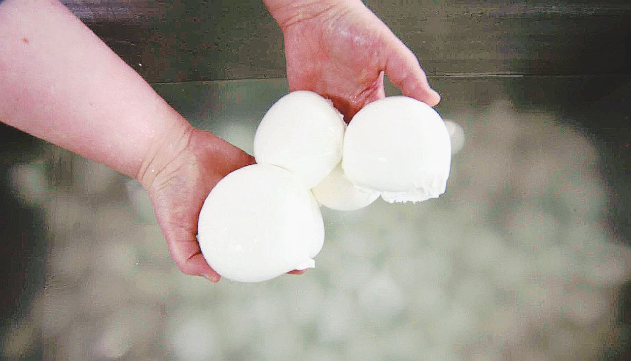 La mozzarella torna italiana: (finalmente) lo dirà l’etichetta