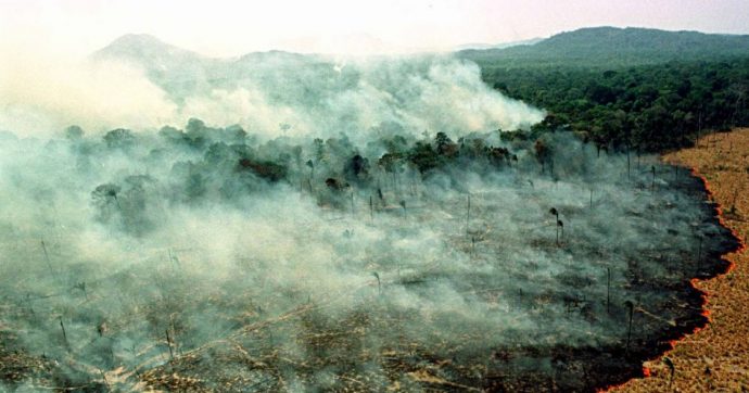 L’Amazzonia brucia, ma nessuno vede il fumo