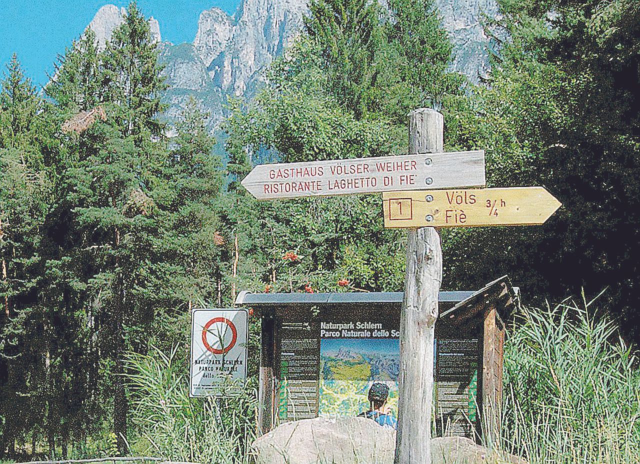 Alto Adige, l’appello di 48 linguisti a Renzi “Non svendere l’italiano per il Sì alle riforme” Alto Adige, l’appello di 48 linguisti a Renzi “Non svendere l’italiano per il Sì alle riforme”