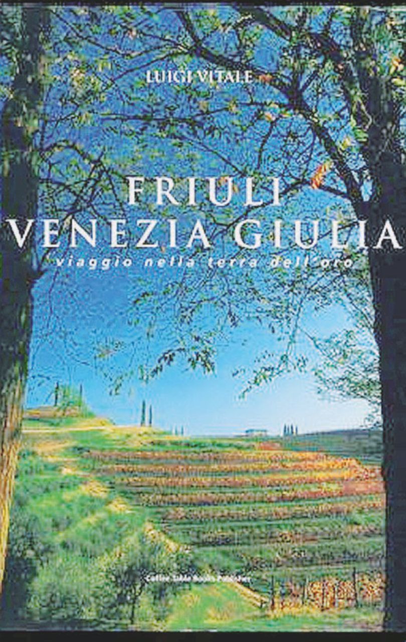 Copertina di Viaggio nei confini mobili del Friuli-Venezia Giulia