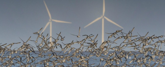 Copertina di Wwf: “L’uomo rischia di causare la sesta estinzione di massa. Entro il 2020 due terzi di animali e vegetali scompariranno”