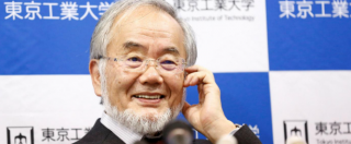 Copertina di Premio Nobel medicina al biologo Yoshinori Ohsumi per studi su autofagia
