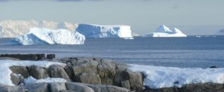 Copertina di In Antartide la riserva marina più grande al mondo. E l’Italia farà la sua parte