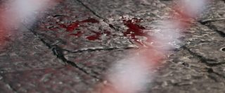 Copertina di Vibo Valentia, 15enne ucciso a colpi di pistola da un coetaneo