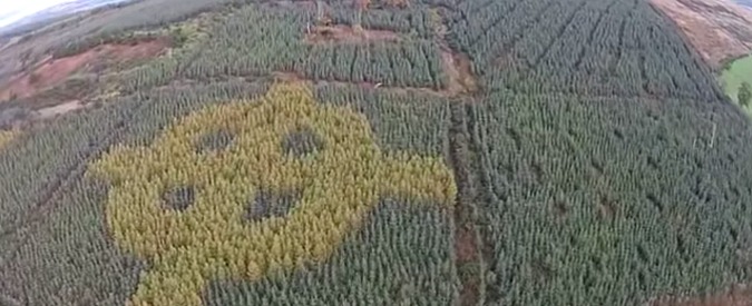Copertina di Il bosco disegna un’enorme croce celtica, la scoperta durante un volo aereo. Mistero? Non proprio
