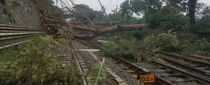 Copertina di Maltempo, tromba d’aria a Genova: strade e ferrovie in tilt. Roma, albero su scuolabus: tre feriti tra cui una bimba