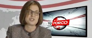 Copertina di Tg Porco, Sabina Guzzanti veste i panni di Lucia Annunziata per affrontare Matteo Renzi