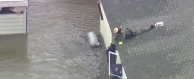 Copertina di Uragano Matthew, danni anche in Nord Carolina. Madre e figlio salvati sul tetto della macchina
