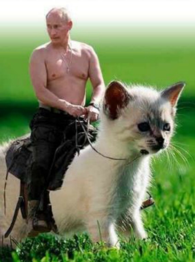Putin, esce il calendario 2017: fotomontaggi ironici sui social