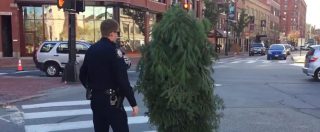 Copertina di Ma che ci fa quell’albero in mezzo alla strada? Arriva la polizia e lo arresta…