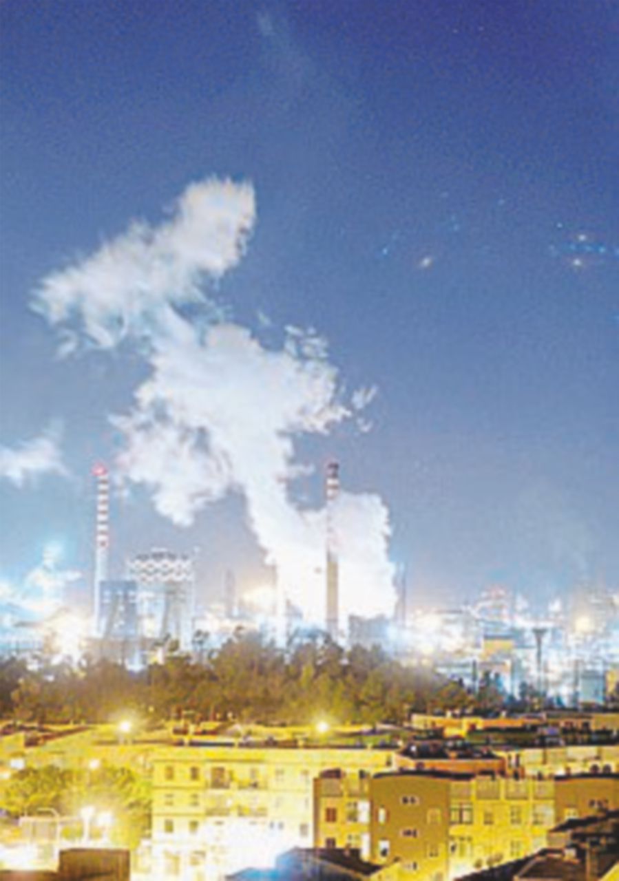 Dopo l’Ilva è allarme pesticidi: “Malattie del sangue: +30% ” Dopo l’Ilva è allarme pesticidi: “Malattie del sangue: +30% ”