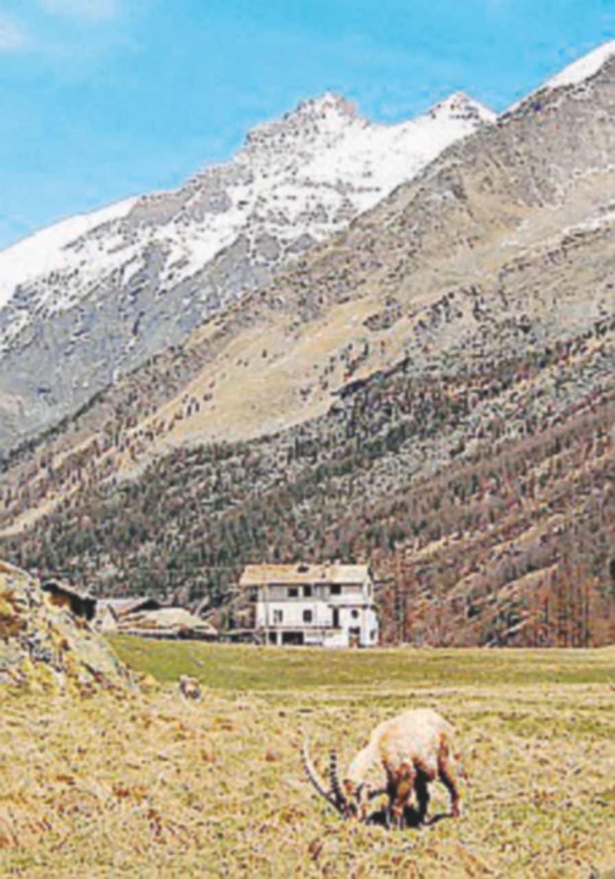 Legge sui parchi, ambientalisti contro “l’ecoschifezza” Legge sui parchi, ambientalisti contro “l’ecoschifezza”