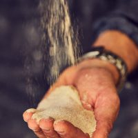 Cosa si intende per chicco di grano sfarinato? Nella <a href=