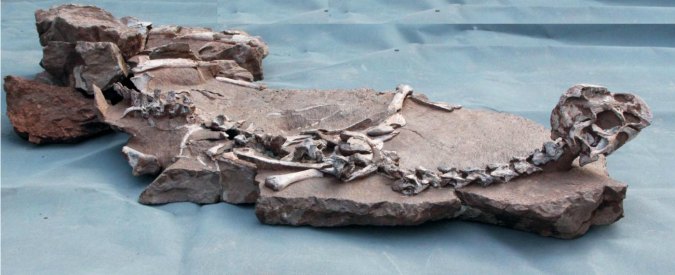 Metodi di datazione per fossili di dinosauro