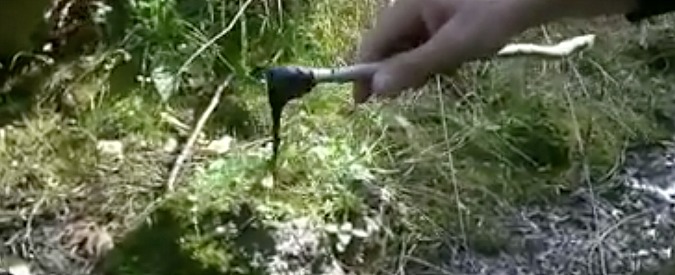 Copertina di Taranto, la denuncia di Peacelink: “A due passi dall’Ilva affiora il catrame dal terreno”