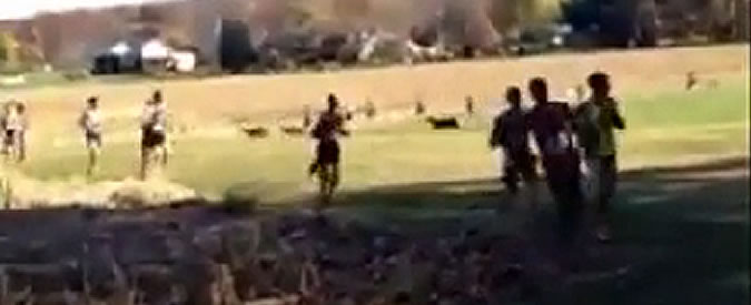 Copertina di I rischi della corsa campestre: podista viene travolto da un branco di cervi