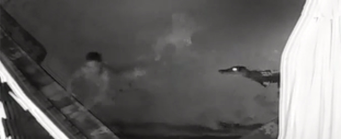 Copertina di Bagno romantico nella piscina del resort? Se il terzo incomodo è un coccodrillo affamato