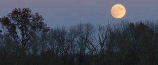 Copertina di Superluna 2016, sorge negli Stati Uniti. Ecco lo spettacolo che vedremo tra qualche ora