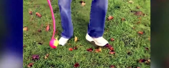 Copertina di Maltempo in Inghilterra, a Birmingham cade tanta acqua che il parco ondeggia come gelatina