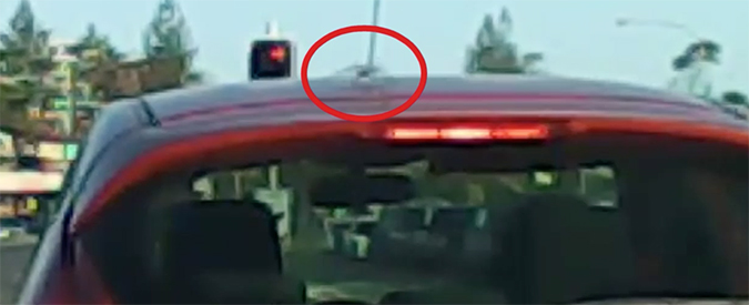 Copertina di Australia, se il clandestino a bordo dell’utilitaria è un ragno gigante