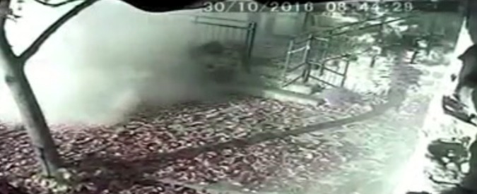 Copertina di La furia del terremoto ripresa in diretta nelle telecamere di sorveglianza di Acquasanta Terme