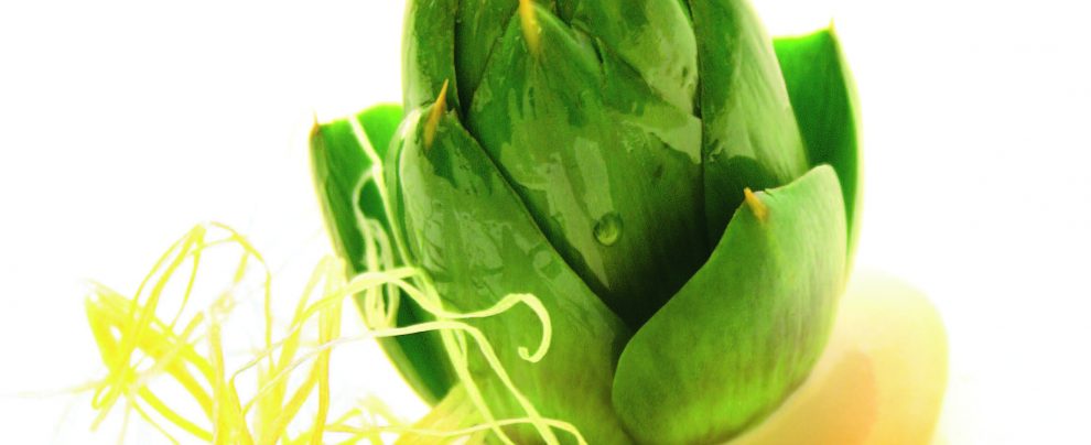 Il carciofo secondo Cuttaia Segnalazioni