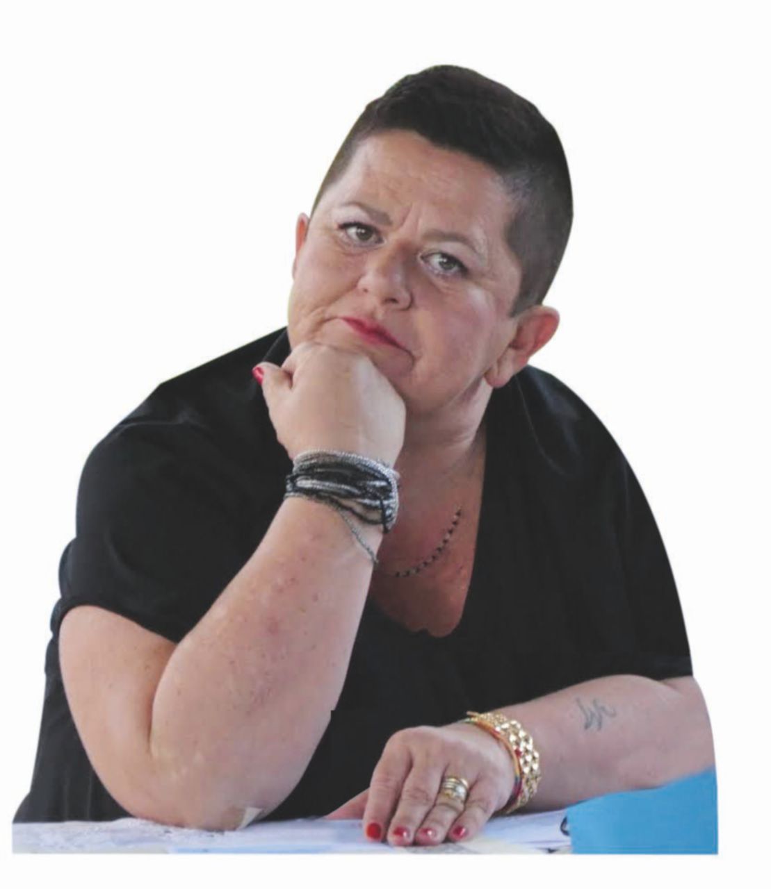 Terra di risaie - Il sindaco di Crova (Vc) Pier Carla Camoriano “Contro i profughi niente barricate, ma che siano donne”