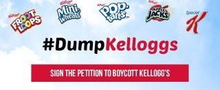 Copertina di Boicottaggi, Kellogg’s non compra pubblicità su sito pro-Trump. La risposta? Una campagna contro i cereali