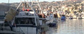 Copertina di Guerra dei gamberi in Liguria, i pescatori di confine: “Se il Governo ratifica l’accordo con la Francia chiudiamo tutti”