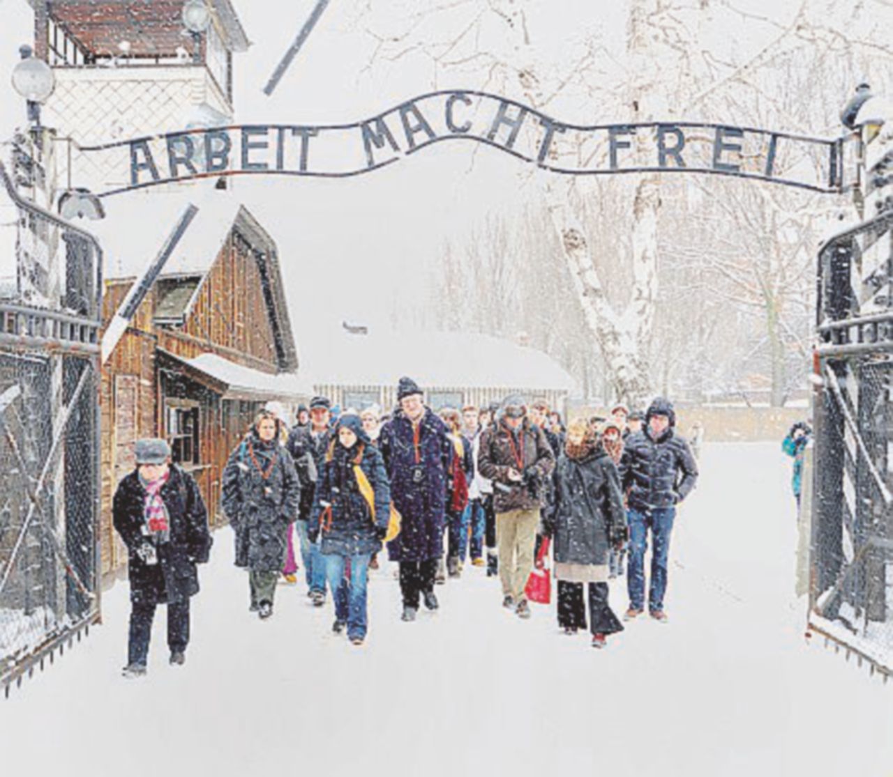 “Lo sterminio ha portato soldi”. Il presidente del Parco nazionale nella bufera: rischia le dimissioni
