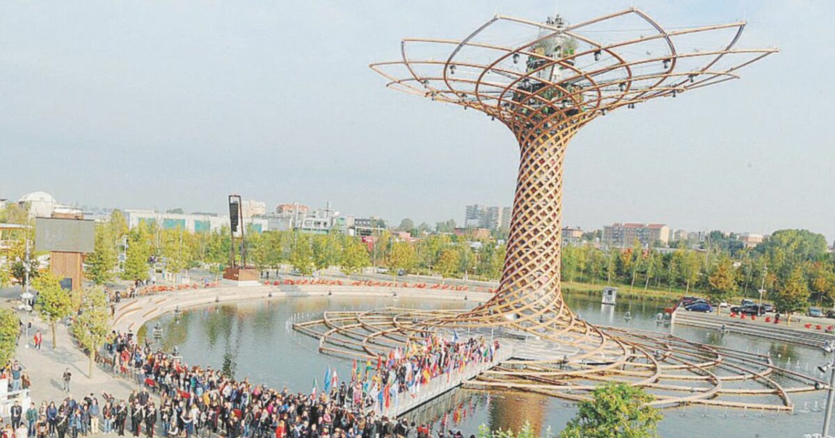 expo 2015 ci ha lasciato in ricordo aree protette desertificate e il tracollo della biodiversità da Ilfattoquotidiano.it expo 2015 ci ha lasciato in ricordo aree protette desertificate e il tracollo della biodiversità